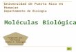 Moléculas Biológicas Preparado por: Profesora Sandra I. Rodríguez Universidad de Puerto Rico en Humacao Departamento de Biología