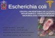 Escherichia coli AGUIAR MADRIGAL, JUAN JOSE CAMACHO RAMOS, CESAR ESTEBAN RODRIGUEZ SEGOVIANO, CESAR ALEJANDRO VILLASEÑOR ALVAREZ, HECTOR ANTONIO CENTRO