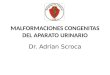 MALFORMACIONES CONGENITAS DEL APARATO URINARIO Dr. Adrian Scroca