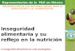 Representación de la FAO en México Inseguridad alimentaria y su reflejo en la nutrición La inseguridad alimentaria en crisis prolongadas ORGANIZACIÓN DE