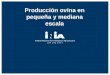 Producción ovina en pequeña y mediana escala. Producción ovina en pequeña escala en Uruguay Escenarios tecnológicos, comerciales y culturales para su