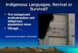 IALL 2010 Indigenous Languages, Revival or Survival? The background: multiculturalism and indigenous populations issue Tifinagh … Samira Houcine and Daphné