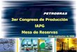 3er Congreso de Producción IAPG Mesa de Reservas 20 de septiembre de 2006