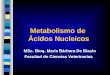 Metabolismo de Ácidos Nucleicos MSc. Bioq. María Bárbara De Biasio Facultad de Ciencias Veterinarias