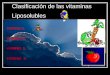 Clasificación de las vitaminas Liposolubles VITAMINA A. VITAMINA D. VITAMINA E. VITAMINA K