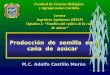 Producción de semilla en caña de azúcar caña de azúcar M.C. Adolfo Castillo Morán Facultad de Ciencias Biológicas y Agropecuarias Córdoba Carrera Ingeniero