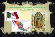 COMUNIDAD: NUESTRA SEÑORA DE GUADALUPE. TANTOYUCA – VERACRUZ MÉXICO MÉXICO