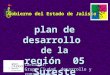 Plan de desarrollo de la región 05 Sureste Consultor: Grupo Ciudad, desarrollo y conservación Gobierno del Estado de Jalisco