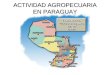 ACTIVIDAD AGROPECUARIA EN PARAGUAY. Componentes Años Ganadería, Caza y pesca Agricultura y explotación forestal Total% Gs.% % 1993726.038,006,35 2.177.445,0018,16