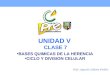 UNIDAD V CLASE 7 BASES QUIMICAS DE LA HERENCIA CICLO Y DIVISION CELULAR Prof.: Segundo Calderón Pinillos