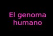 El genoma humano. El Proyecto Genoma Humano (PGH) fue un proyecto de investigación científica con el objetivo fundamental de determinar la secuencia de