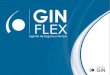 Quienes Somos… GinFlex es una compañía orientada al servicio. Contamos con una amplia red de socios comerciales con los cuales brindamos la mejor opción