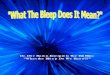 What the Bleep Does It Mean - By Dov Baron