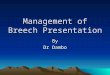 Management of Breech Presentation