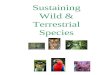 Wild Species and Terrestrial Species Biodiversity