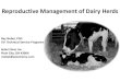 Reproductive Management of Dairy Herds
