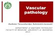 PA - Vascular Pathology 2013