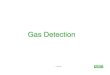 MSA Customer Training Gas Detection Principles.pdf
