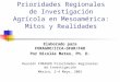 Prioridades Regionales de Investigación Agrícola en Mesoamérica: Mitos y Realidades Elaborado para FORAGRO/IICA- GFAR/FAO Por Nicolás Mateo, Ph. D. Reunión
