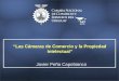 Javier Peña Capobianco Las Cámaras de Comercio y la Propiedad Intelectual