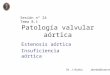 Patología valvular aórtica Estenosis aórtica Insuficiencia aórtica Sesión nº 24 Tema 8.1 Dr J.Barba jbarba@unav.es