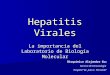 Hepatitis Virales La importancia del Laboratorio de Biología Molecular Bioquímico Alejandro Kuc Servicio de Inmunología Hospital Dr. Julio C. Perrando