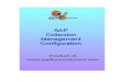001 SAP Collection Management Config Preview