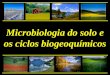 Microbiologia do solo e os ciclos biogeoquímicos