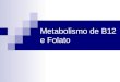 Metabolismo de B12 e Folato. METABOLISMO DA VITAMINA B12 E DO ÁCIDO FÓLICO A vitamina B12 ou cobalamina está presente em alimentos de origem animal, especialmente