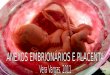 Anexos embrionários e placenta placentamembranasA placenta e as membranas protegem o embrião e o feto, e proporcionam os mecanismos necessários para a