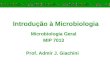 Introdução à Microbiologia Microbiologia Geral MIP 7013 Prof. Admir J. Giachini