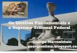 Os Direitos Fundamentais e o Supremo Tribunal Federal George Marmelstein georgemlima.blogspot.com
