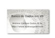 Banco de Dados em VB Walmor Cardoso Godoi, M.Sc. 