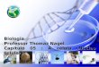 Biologia Professor Thomaz Nagel Capítulo 05 : A célula (Núcleo celular)