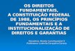 Disciplina: Direito Constitucional II Professora: Ludmila Cerqueira Correia OS DIREITOS FUNDAMENTAIS, A CONSTITUIÇÃO FEDERAL DE 1988, OS PRINCÍPIOS FUNDAMENTAIS