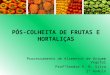 PÓS-COLHEITA DE FRUTAS E HORTALIÇAS Processamento de Alimentos de Origem Vegetal ProfªSandra R. B. Silva 2º modulo