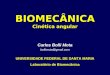BIOMECÂNICA Cinética angular Carlos Bolli Mota bollimota@gmail.com UNIVERSIDADE FEDERAL DE SANTA MARIA Laboratório de Biomecânica
