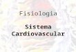 Fisiologia Sistema Cardiovascular Instruções 1- Abra a apresentação com o F5 do teclado. 2- Leia a pergunta e clique com o mouse na resposta que julga