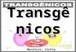 Transgênicos Monitora: Cintia. Conceito Transgênicos ou OGMs são organismos manipulados geneticamente, de modo a fornecer características desejadas pelo