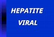 HEPATITEVIRAL. HEPATITE VIRAL 1. Introdução 2. Propriedades dos Vírus da Hepatite 3. Patologia 4. Manifestações Clínicas 5. Diagnóstico Laboratorial 6