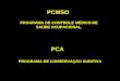 PROGRAMA DE CONTROLE MÉDICO DE SAÚDE OCUPACIONAL. PCMSO PCA PROGRAMA DE CONSERVAÇÃO AUDITIVA
