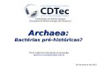 Archaea: Bactérias pré-históricas? Prof. Fabricio Rochedo Conceição fabricio.rochedo@ufpel.edu.br 20 de março de 2012 Graduação em Biotecnologia Disciplina