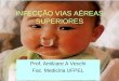 INFECÇÃO VIAS AÉREAS SUPERIORES Prof. Amilcare A Vecchi Fac. Medicina UFPEL