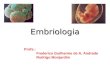 Embriologia Profs.: Frederico Guilherme de A. Andrade Rodrigo Monjardim