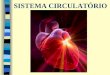 SISTEMA CIRCULATÓRIO. Sistema formado por vasos (artérias, veias, capilares e vasos linfáticos), uma bomba central (Coração) e um componente fluído (sangue)
