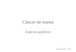 Erlane M. Ribeiro - FMJ Câncer de mama Aspectos genéticos