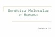 Genética Molecular e Humana Teórica 15. 2/Maiol/2013 Genética Molecular e Humana MJC Sumário: T16 2 Capítulo XIX. Genómica Mapas físicos, citológicos