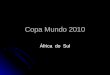 Copa Mundo 2010 África do Sul. Argentina