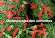 Microbiologia dos Alimentos. Alimentos meio adequado para o crescimento microbiano - deterioração (prontos para consumo - aumento dos custos) - disseminação