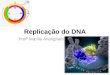 Replicação do DNA Profª Marília Andrighetti. Replicação do DNA Todos os organismos devem duplicar o seu DNA com extrema precisão antes de cada divisão